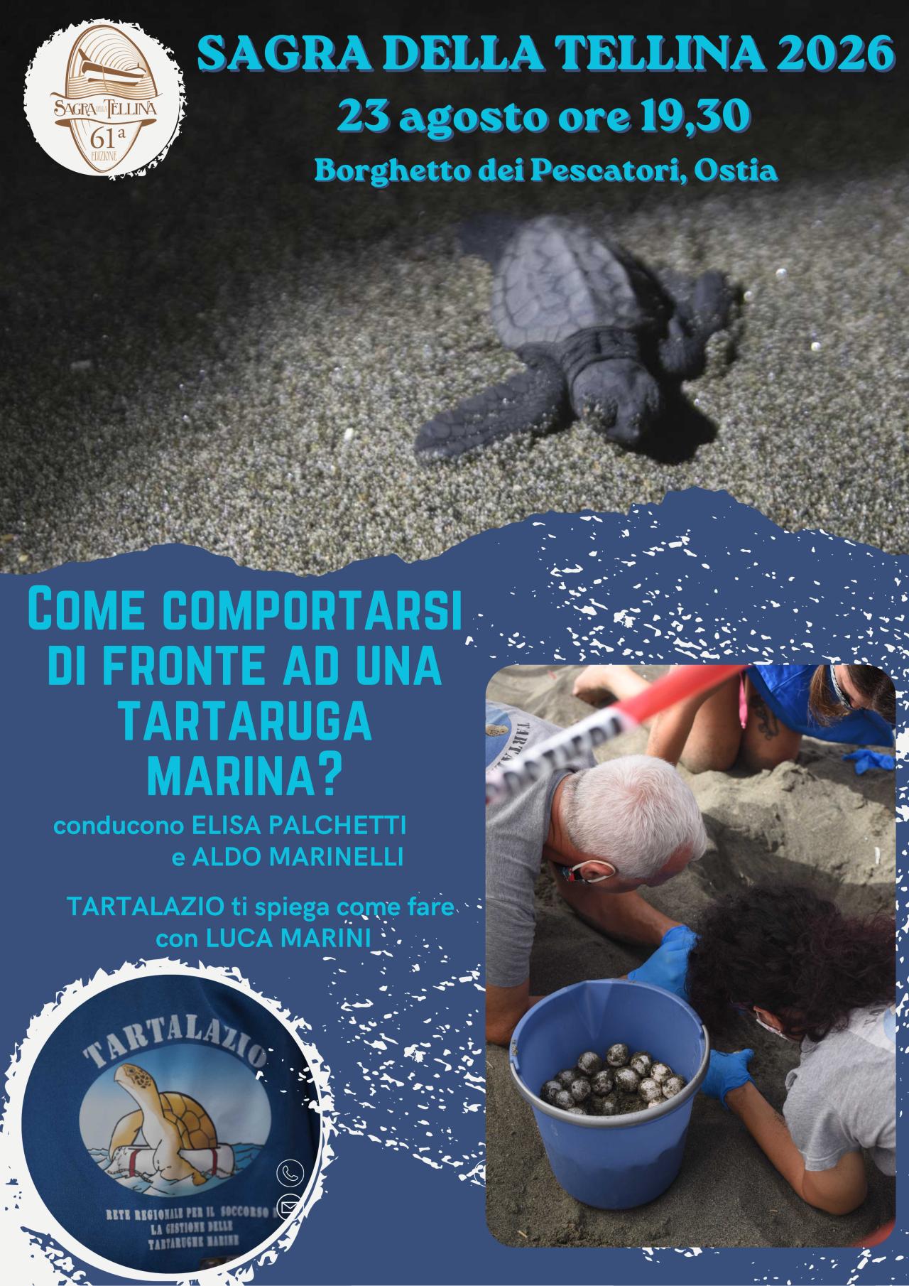 Grande successo per la Sagra della Tellina 2026